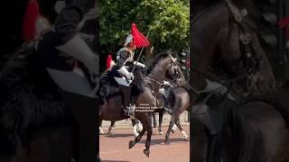 Horse Freaks Out - Guard Controlled him perfectly