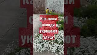 КРАСИВО ПЕРЕД ДОМОМ это не про деньги- это о человеке #дача #клумба