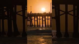 Newport Beach Sunset - Scenic View #nature #relaxing #beach #california #sunset #shorts #oceansounds