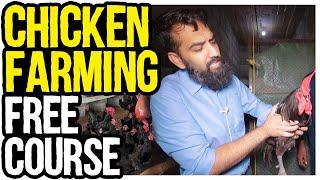 How to Raise Chicken  Best Educational Advice for raising Chicken  Chicken Farming Free Course