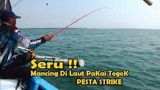 Strike Gak Ada Henti  Mancing Di Laut Umpan Udang Putih