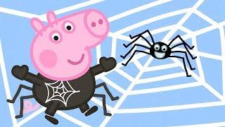  Spider Where is Mr Skinny Legs? Halloween Special   Family Kids Cartoon