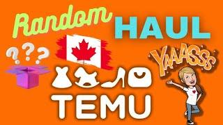 Random Canadian  Temu Mini Haul  Mystery Plush Stationary Pokémon and MORE