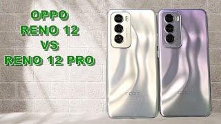 OPPO Reno 12 VS Reno 12 Pro