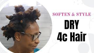 I Went From Puffy Dry Hair To Moisture Rich High Puff Tutorial