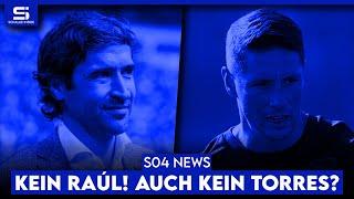 Raúl lehnt ab Torres kein Ersatz? Schmerzgrenze bei Sylla Ungerecht vom DFB behandelt?  S04 NEWS