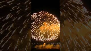 四尺玉 - 鴻巣花火大会　#japan #fireworks #花火 #花火大会