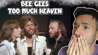 First Time Hearing Bee Gees - Too Much Heaven REACTION