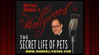 The Secret Life of Pets - Review - Matías Bombals Hollywood