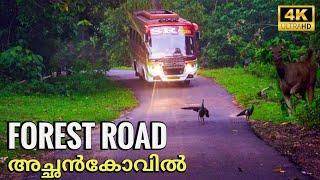 Konni Achankovil Forest Road  Konni Reserve Forest  Achankovil Forest Drive  4K UHD