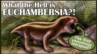 What the Hell is Euchambersia?