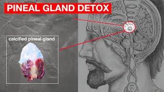 Unlocking Your Third Eye How to Decalcify Your Pineal Gland