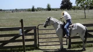 Best Gate Latch for Horse Farm Gates