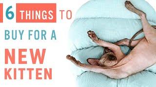 6 THINGS to Buy for a NEW KITTEN  CAT ESSENTIALS  Preparation