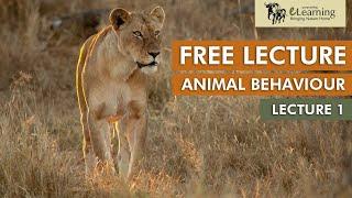 EcoTraining FREE Lecture on Animal Behaviour  Lecture 1