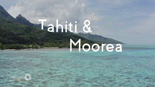Grenzenlos - die Welt entdecken auf Tahiti und Moorea