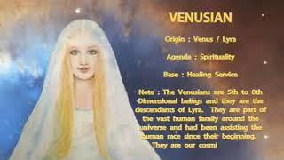 All About the Venusians and Venusian Starseeds