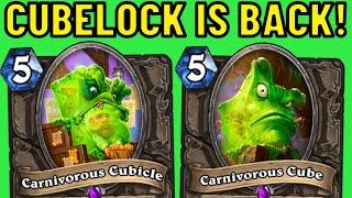 Cubelock in 2024? Carnivorous Cubicle Combo