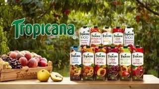 Tropicana Geyve Ayva Nektarı