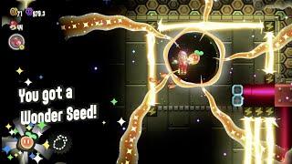 High Voltage Gauntlet - All Flower Coins and Wonder Seed