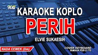 Perih Karaoke Koplo Nada Wanita Elvie Sukaesih Nada Rendah