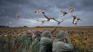 145 BIRDS MORNING GEESE AFTERNOON DUCKS - DREAM DAY OF HUNTING