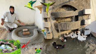 Birds Aviary Main Birds K Liye Pool Bana Dia 