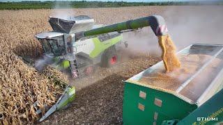 CLAAS LEXION 8900 TT + CONSPEED 12-75C