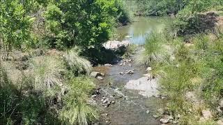 Exploring Faerie Glen Nature Reserve Pretoria