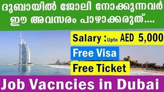 Dubai Job Vacancy 2024 Malayalam UAE Job Vacancy Gulf Job Vacancy Malayalam  Today Job Vacancy