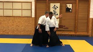 Aikido Shomen uchi by Daniele MONTENEGRO sensei - Riga 2024