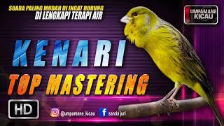 kenari  TOP MASTERING MURAI BATU