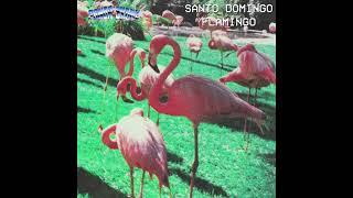 Panda Skare - Santo Domingo Flamingo