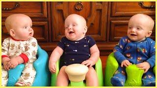 Funny Twin And Triplet Will Make You Laugh  5-Minute Fails