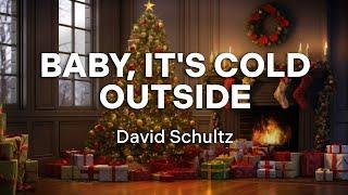 David Schultz - Baby Its Cold Outside Official Audio - Christmas Songs