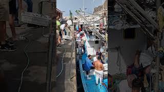 PUERTO DE MOGAN - FISHERMEN AT WORK - GRAN CANARIA - 2024 - 4K