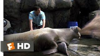 Vomiting Walrus - 50 First Dates 38 Movie CLIP 2004 HD