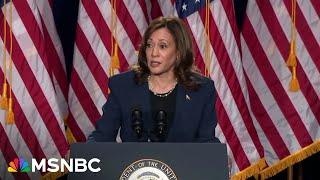 How Kamala Harris ‘reinvigorated’ the Democratic base