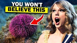 Most SHOCKING Taylor Swift facts