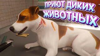 ПРИЮТ ДИКИХ ЖИВОТНЫХ  Animal Shelter 