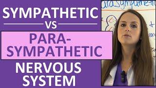 Sympathetic and Parasympathetic Nervous System Autonomic Anatomy Pharmacology Nursing