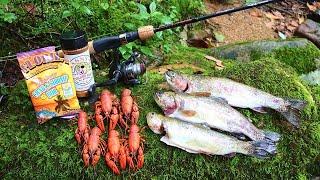 Crawfish and Trout Cookout on the Appalachian Trail