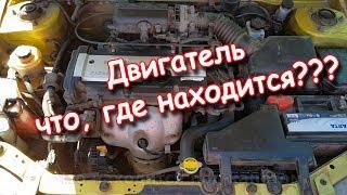 Что находится под капотом автомобиля основные элементы