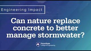 Engineering Impact Can nature replace concrete to better manage stormwater? - 60 Seconds