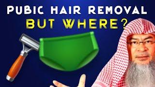 Pubic Hair Removal  - But What Parts? anus below navel etc.? assim al hakeem JAL
