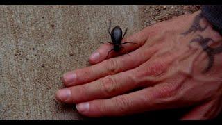 Breaking Bad 2x06 - Beetle Scene