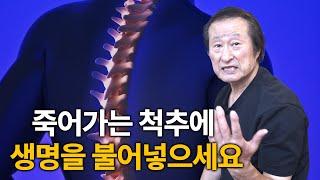 죽어가는 척추를 살려줄 간단하지만 확실한 운동