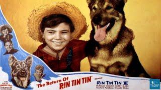 The Return of Rin Tin Tin 1947  Adventure Film  Rin Tin Tin III Donald Woods Robert Blake