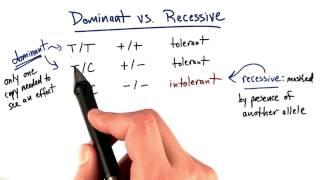 Dominant vs Recessive - Tales from the Genome