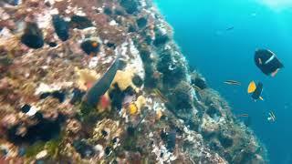 GALAPAGOS - SAN CRISTOBAL  Un día de snorkeling en el Leon Dormido  a day of snorkeling in home